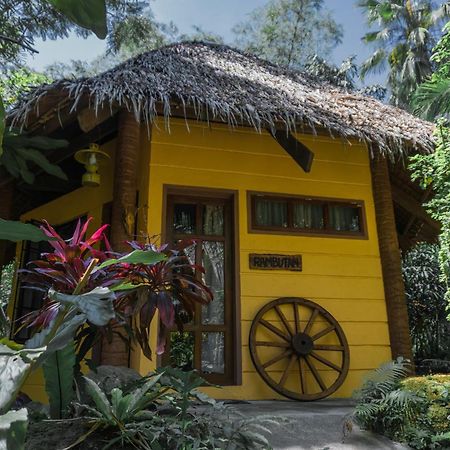 Forest Camp Valencia  Екстер'єр фото